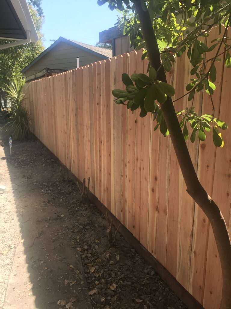 Fencing Outside the House